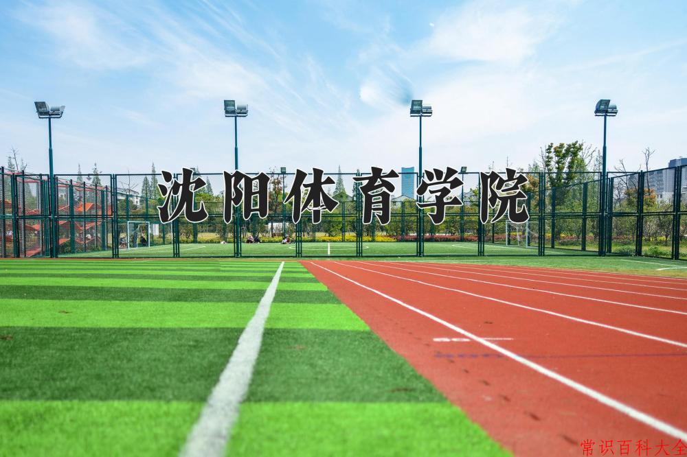 沈阳体育学院2024年各学科排名一览表！附教育部评级比例