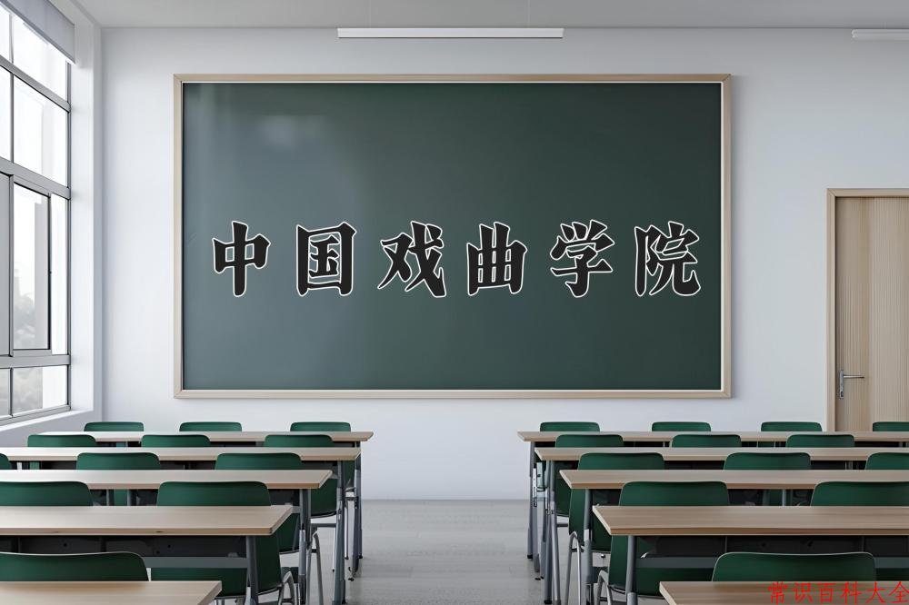 中国戏曲学院2024年各学科排名一览表！附教育部评级比例