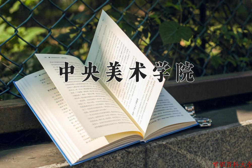 中央美术学院2024年各学科排名一览表！附教育部评级比例