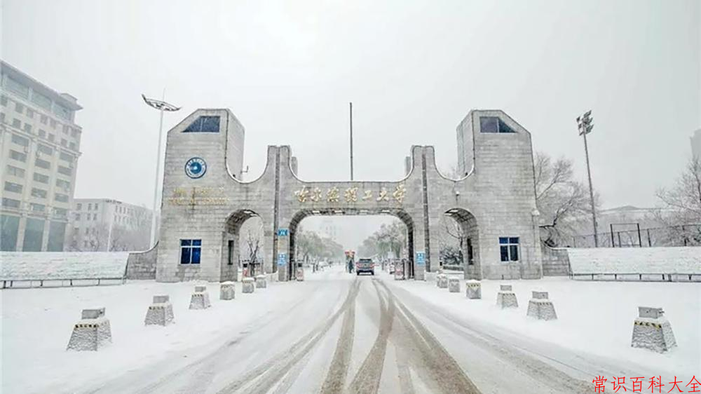 2024年哈尔滨理工大学在青海计划招生人数（附学费及专业录取分)