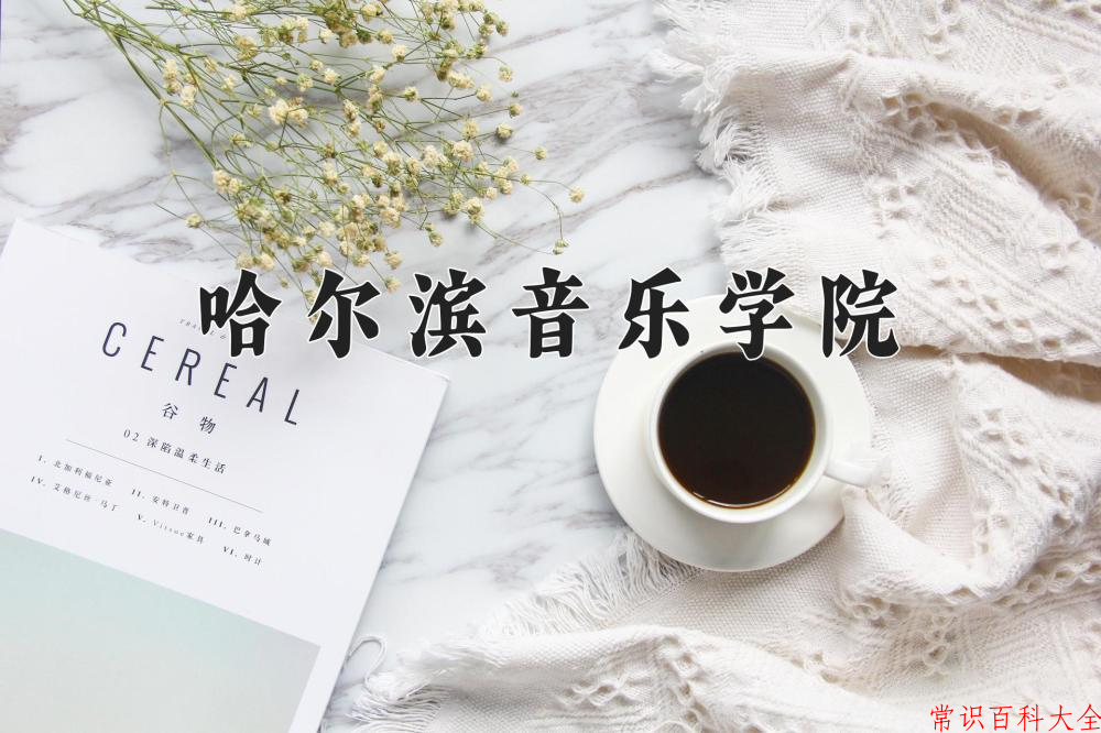 哈尔滨音乐学院2024年各学科排名一览表！附教育部评级比例