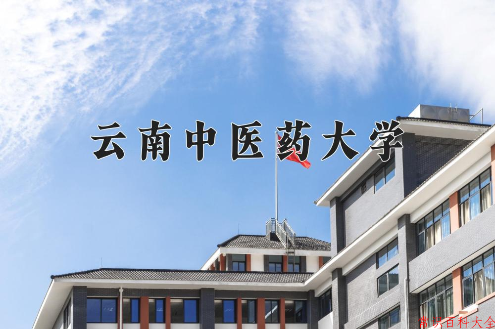 云南中医药大学2024年各学科排名一览表！附教育部评级比例
