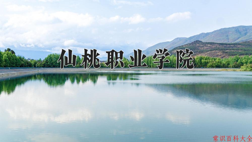 2024仙桃职业学院录取分数线及位次一览：重庆考生2025填报参考