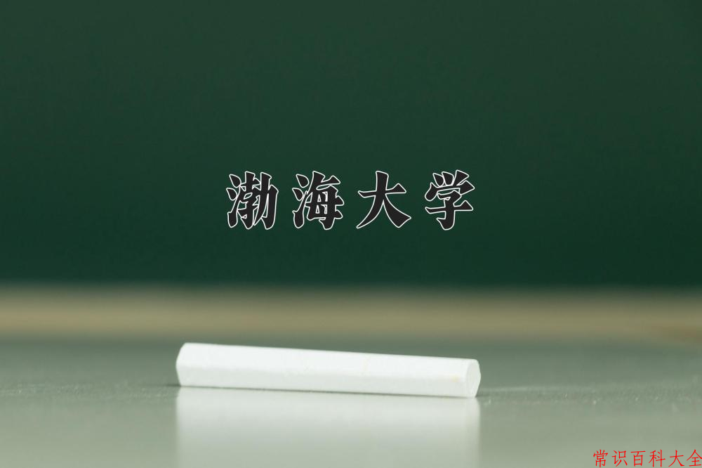 渤海大学2024年各学科排名一览表！附教育部评级比例