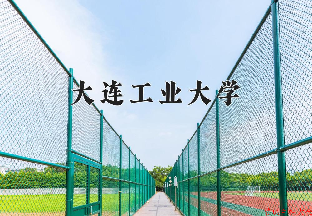 大连工业大学2024年各学科排名一览表！附教育部评级比例