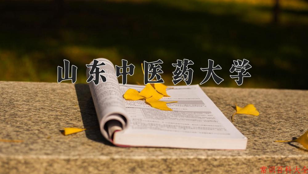 山东中医药大学2024年各学科排名一览表！附教育部评级比例