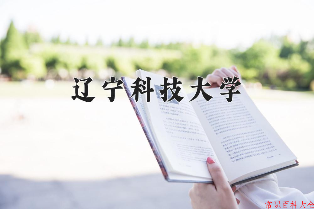 辽宁科技大学2024年各学科排名一览表！附教育部评级比例