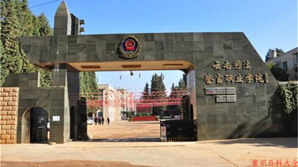 2024云南司法警官职业学院录取分数线及位次一览：重庆考生2025填报参考