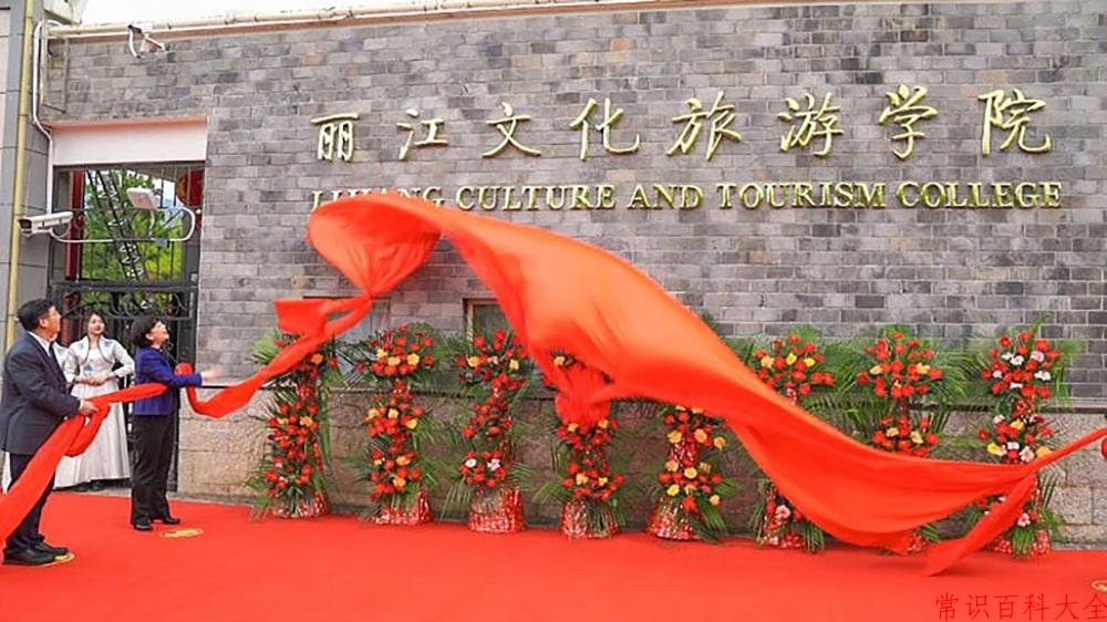 2024丽江文化旅游学院录取分数线及位次一览：重庆考生2025填报参考