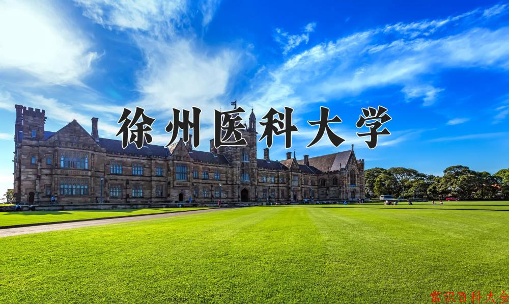 徐州医科大学2024年各学科排名一览表！附教育部评级比例