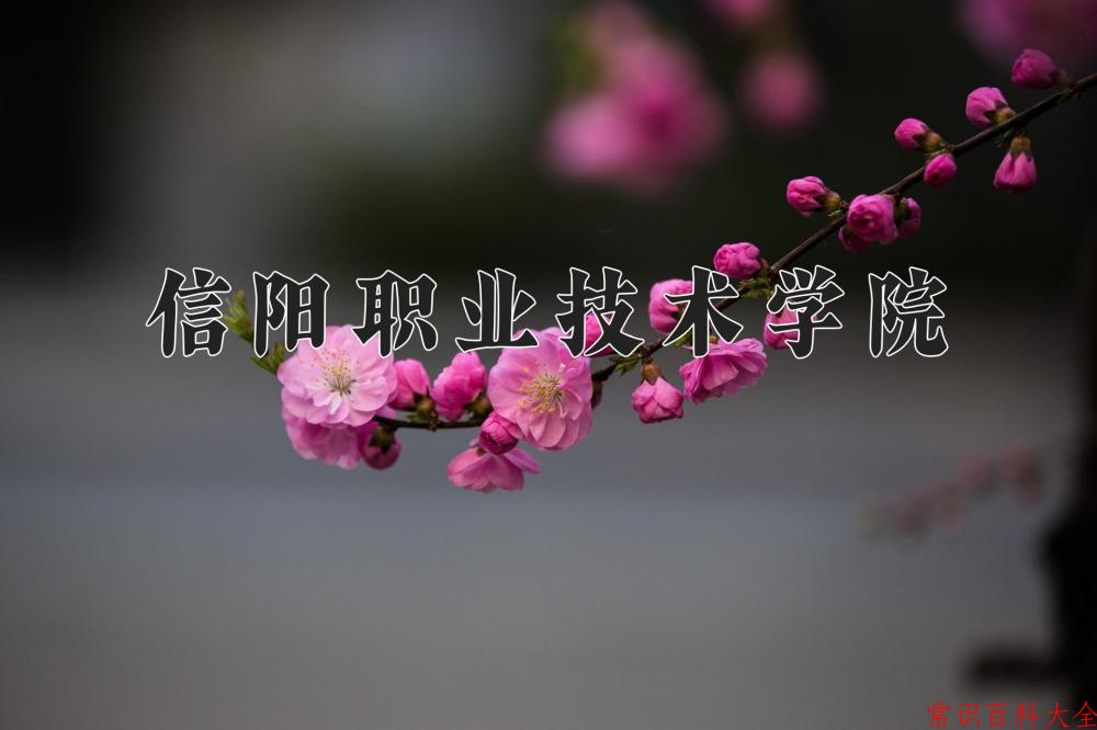 2024年信阳职业技术学院在青海计划招生人数（附学费及专业录取分)