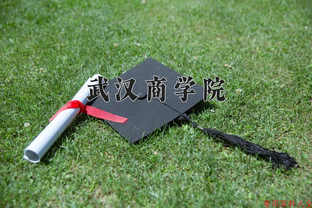 2024年武汉商学院在山西计划招生人数（附学费及专业录取分)