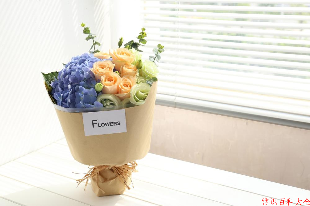 2024年岳阳职业技术学院在广东计划招生人数（附学费及专业录取分）