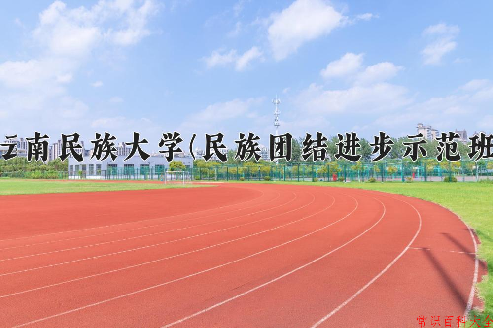 云南529分能上什么大学？附2025年可以报考的大学名单