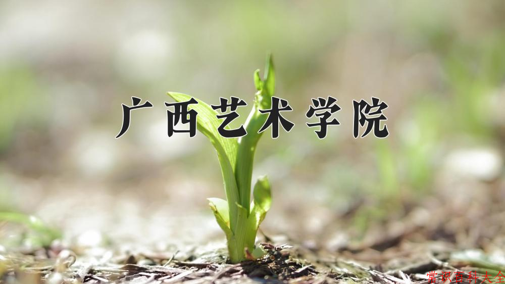 广西艺术学院2024年各学科排名一览表！附教育部评级比例