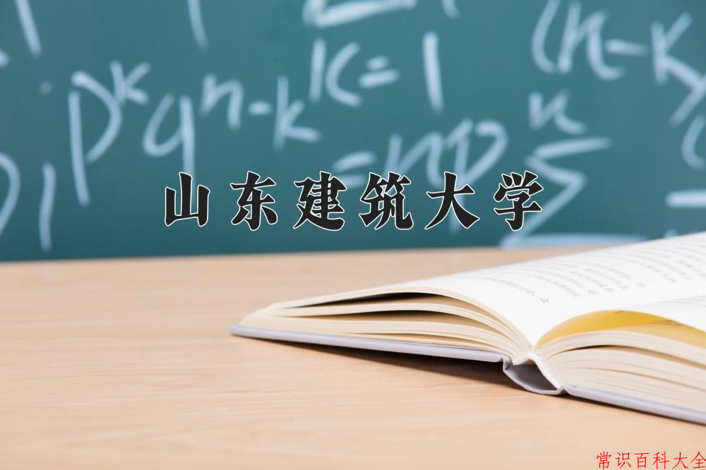 山东建筑大学2024年各学科排名一览表！附教育部评级比例