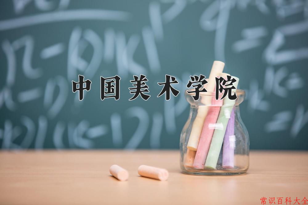 中国美术学院2024年各学科排名一览表！附教育部评级比例