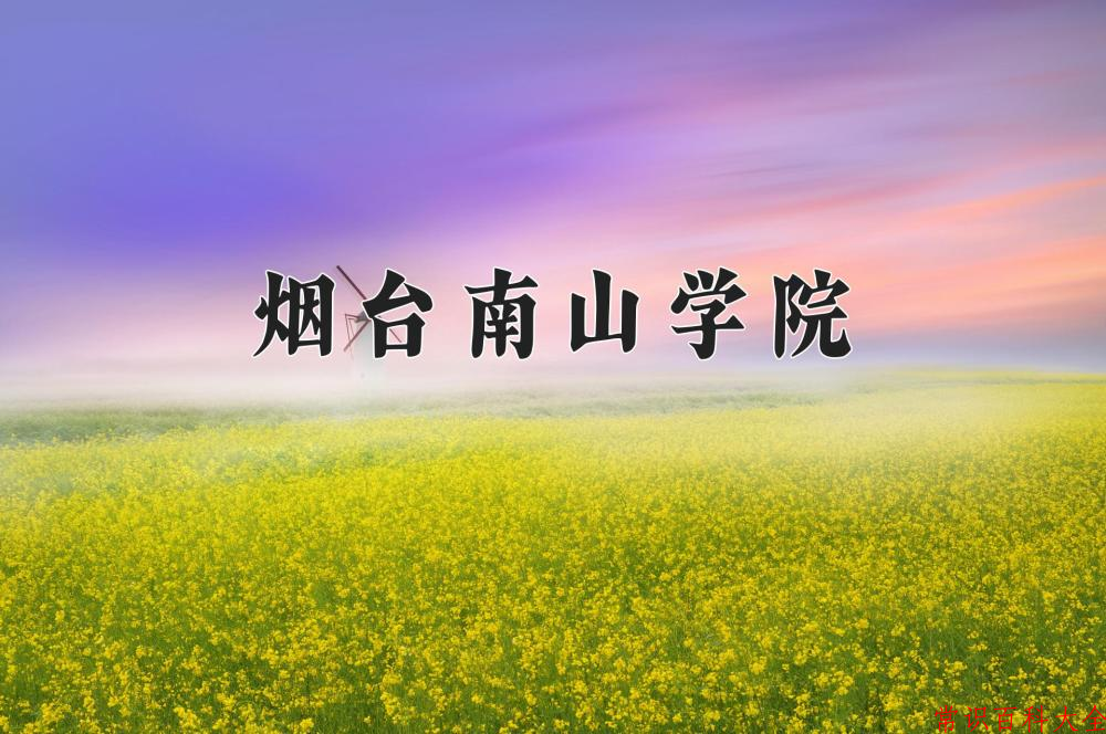 2024烟台南山学院录取分数线及位次一览：重庆考生2025填报参考