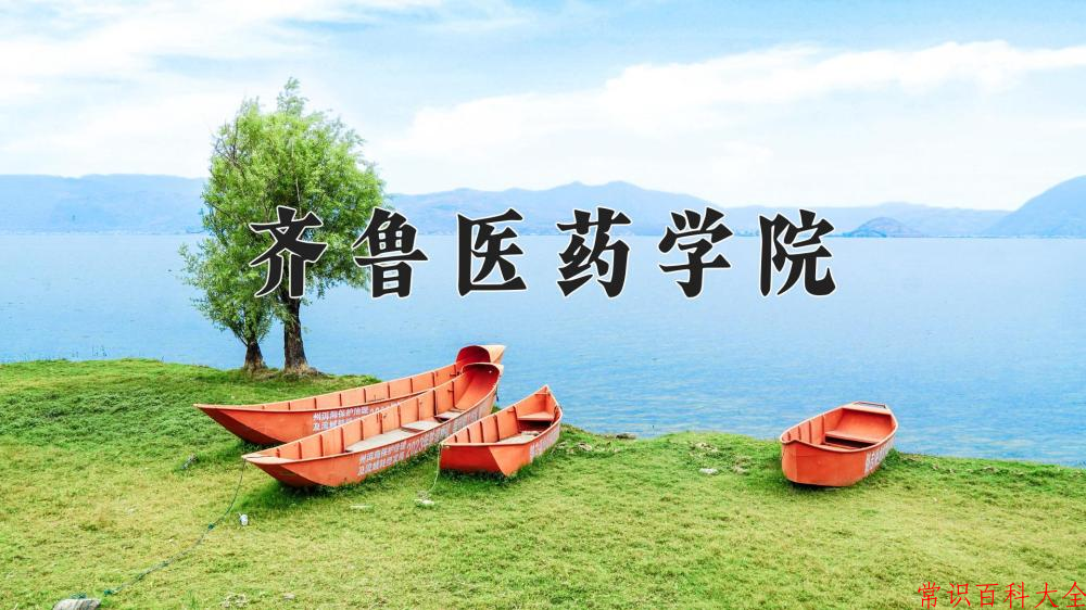 2024齐鲁医药学院录取分数线：浙江最低477分