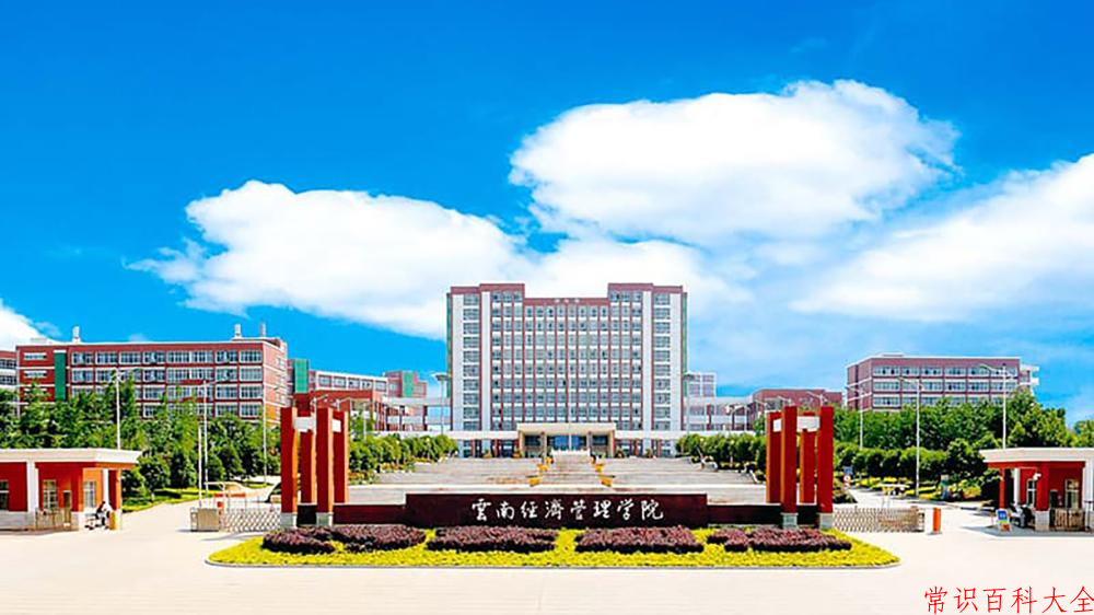 2024云南经济管理学院录取分数线：浙江最低323分