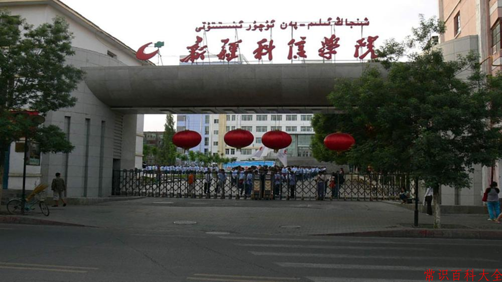 2024新疆科信职业技术学院录取分数线：山东最低289分