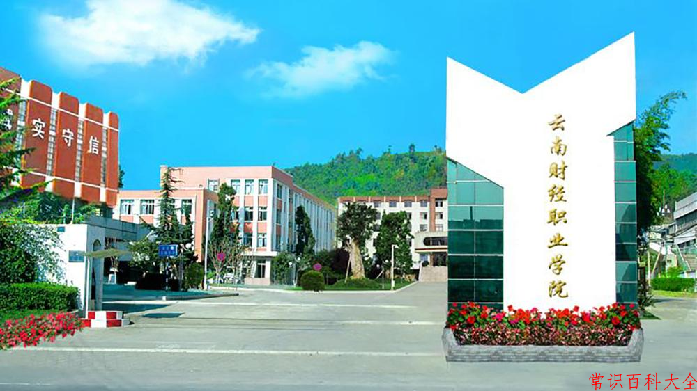 2024云南财经职业学院录取分数线及位次一览：重庆考生2025填报参考