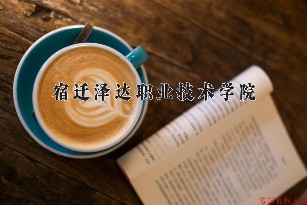 2024宿迁泽达职业技术学院录取分数线：浙江最低328分