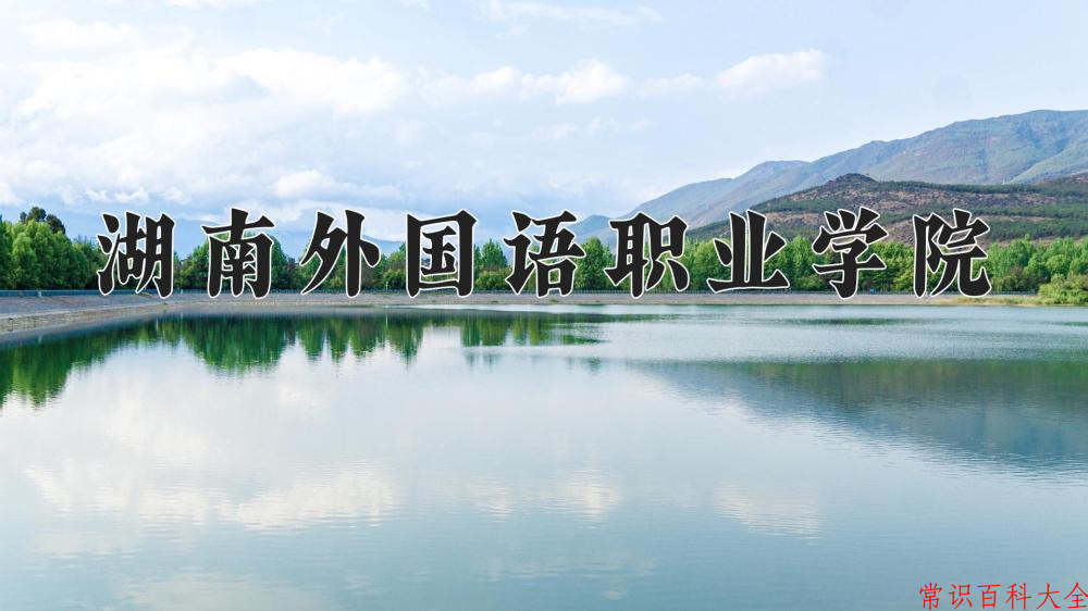 2024湖南外国语职业学院录取分数线及位次一览：四川考生2025填报参考