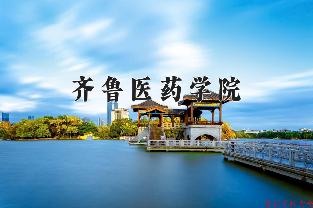 2024齐鲁医药学院录取分数线及位次一览：重庆考生2025填报参考