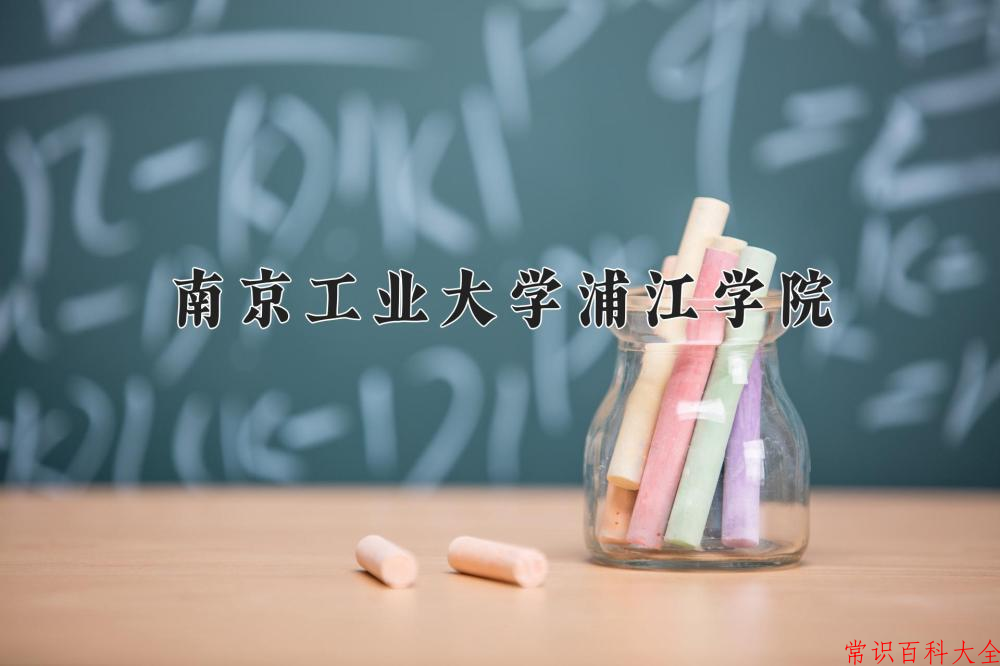 2024南京工业大学浦江学院录取分数线及位次一览：重庆考生2025填报参考
