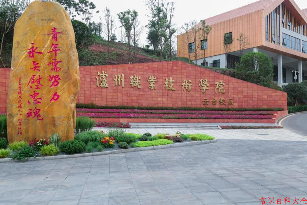 2024年泸州职业技术学院在青海计划招生人数（附学费及专业录取分)