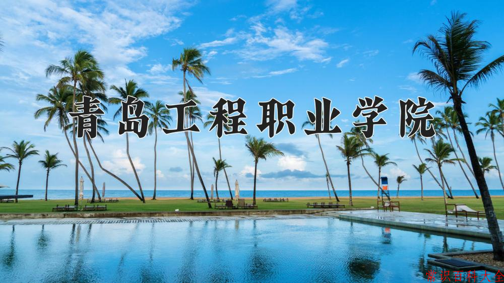 2024青岛工程职业学院录取分数线及位次一览：四川考生2025填报参考