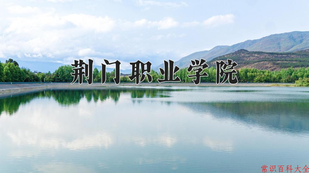 2024荆门职业学院录取分数线：山东最低379分