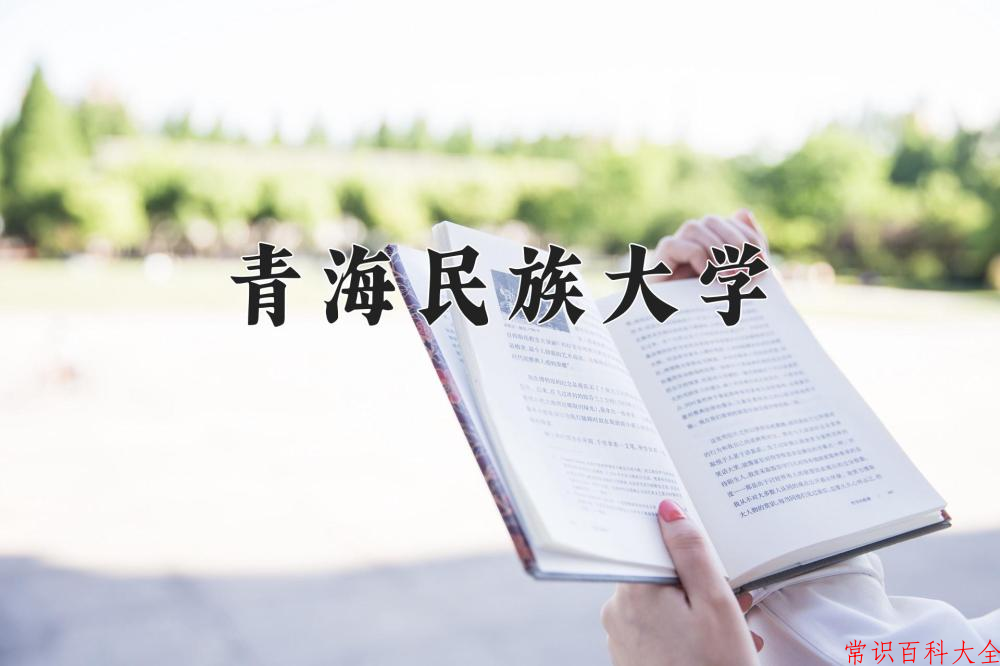 2024青海民族大学录取分数线及位次一览：重庆考生2025填报参考