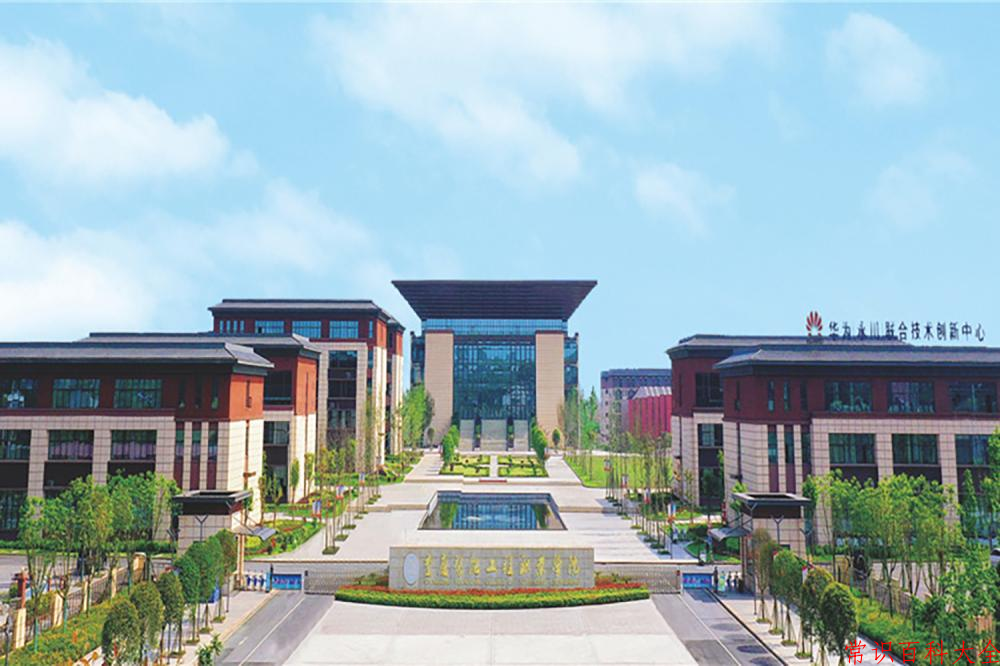 2024重庆智能工程职业学院录取分数线及位次一览：四川考生2025填报参考