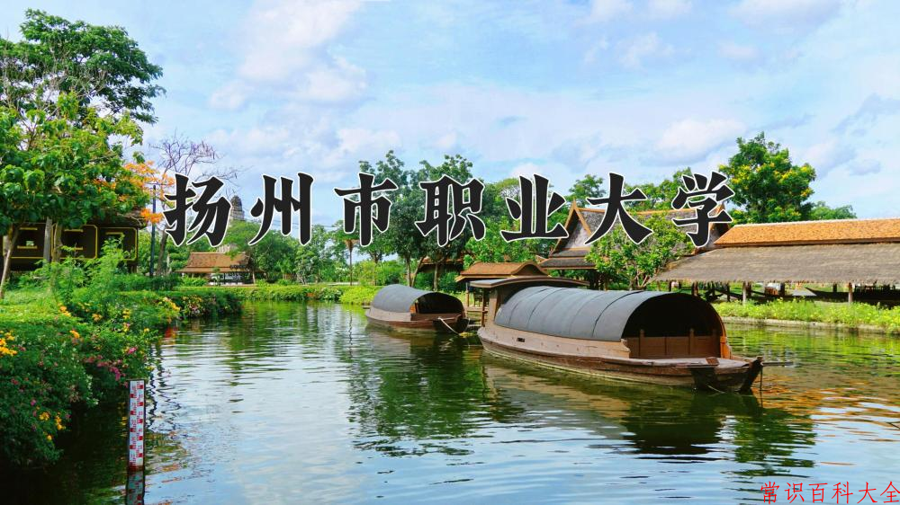 2024扬州市职业大学录取分数线及位次一览：四川考生2025填报参考