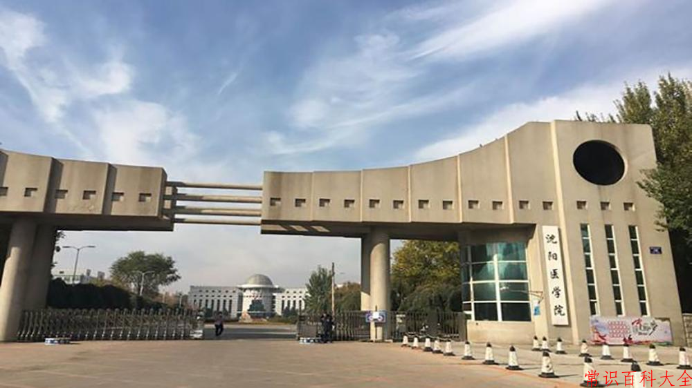 2024沈阳医学院录取分数线及位次一览：重庆考生2025填报参考