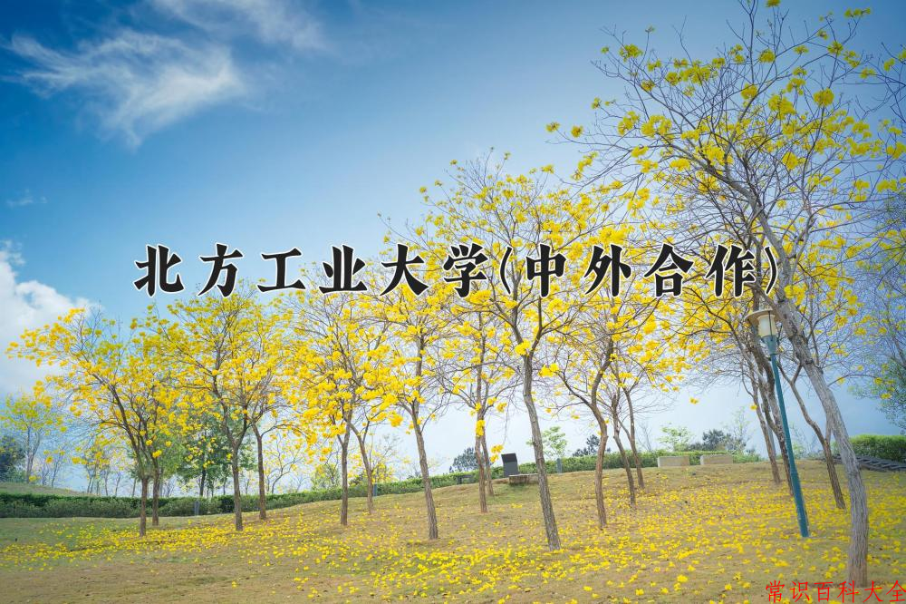 2024北方工业大学(中外合作)录取分数线及位次一览：四川考生2025填报参考