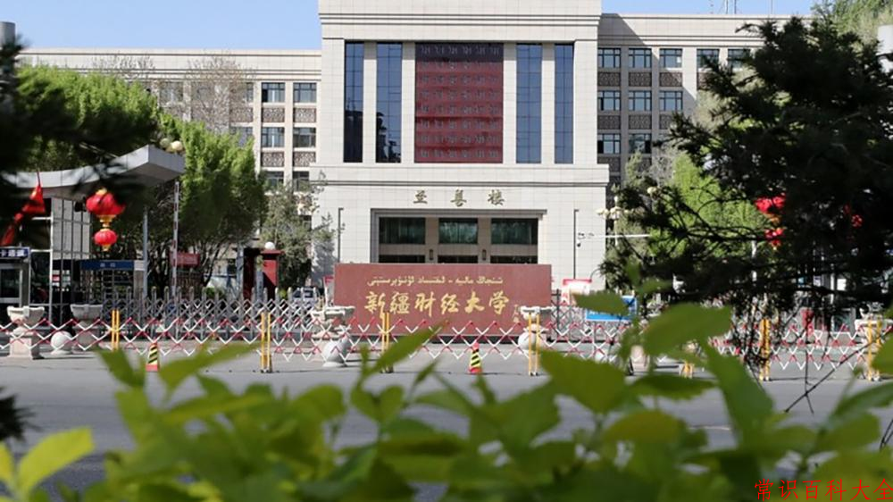 2024新疆财经大学录取分数线及位次一览：重庆考生2025填报参考